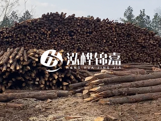 地基打木樁用什么木材 - 地基打木樁的能撐幾年？